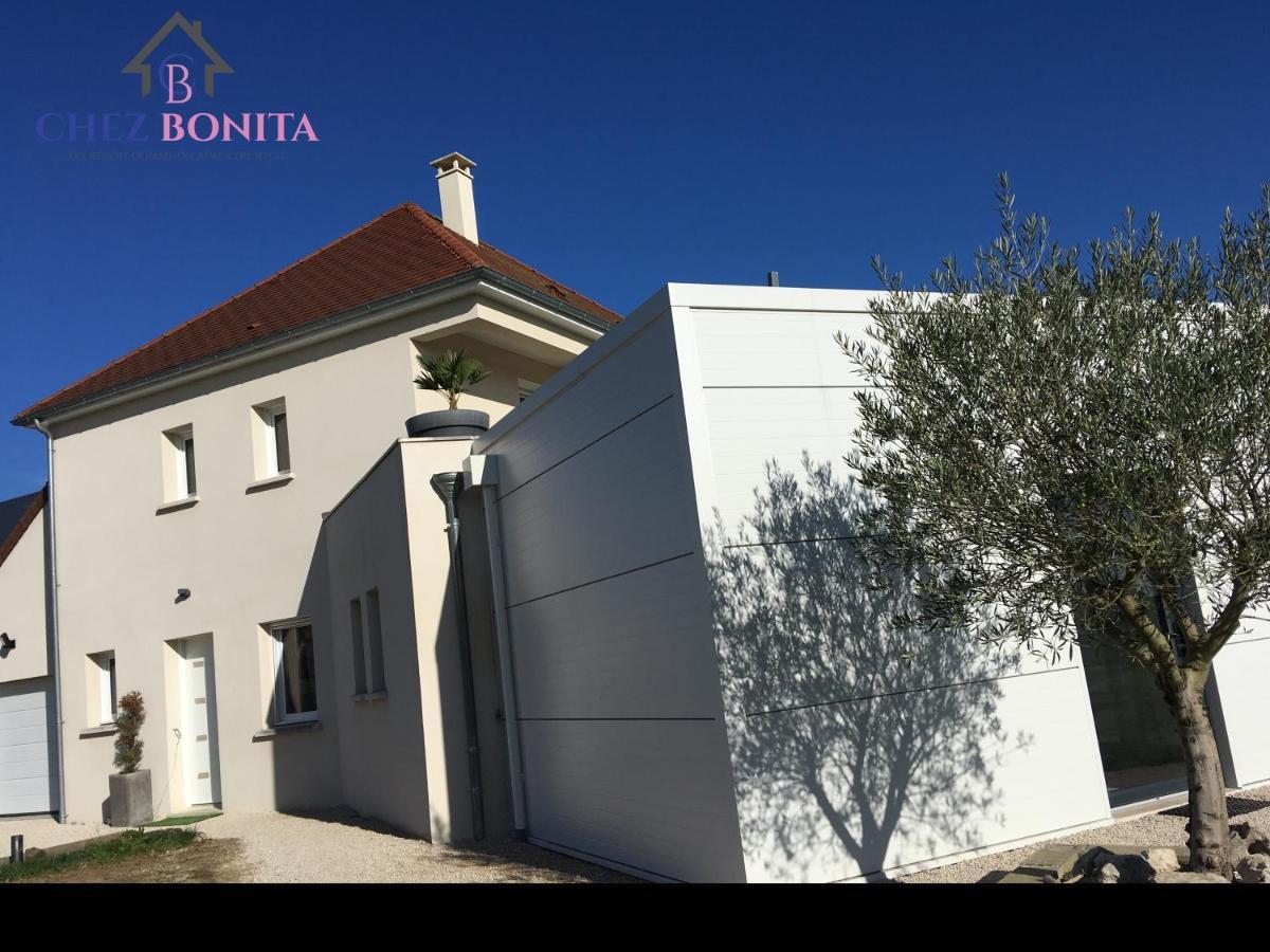 Chez Bonita Hotel Chouzy-sur-Cisse Exterior foto